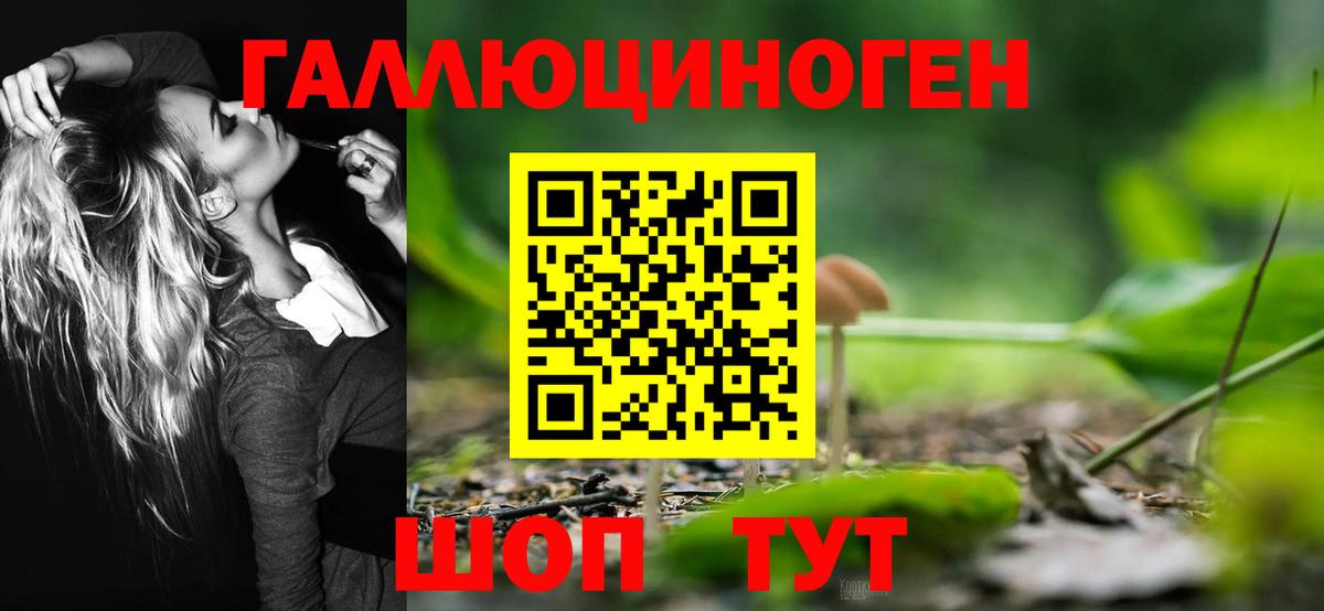 Галлюциногенные грибы Psilocybe  Вход с VPN  Артёмовский 